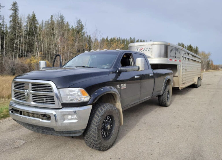 68D7D79E A2D4 4F55 9573 5E9DC1C22B84 768x554